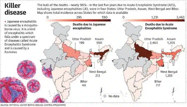 Japanese Encephalitis